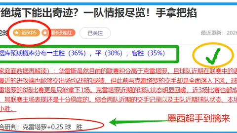 大乐透期号专家推荐质合分析：Ning皇子失误险逆转