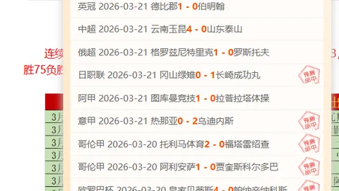 博鱼体育